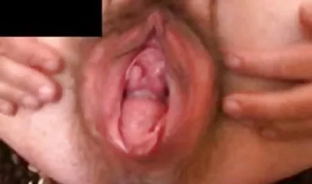 Goyang ular bpkep montok - laba-laba-Toket balas dendam porno